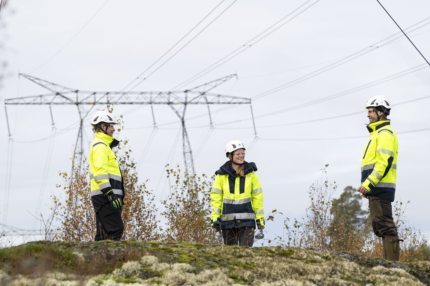 Fastighetsrättsliga tjänster
