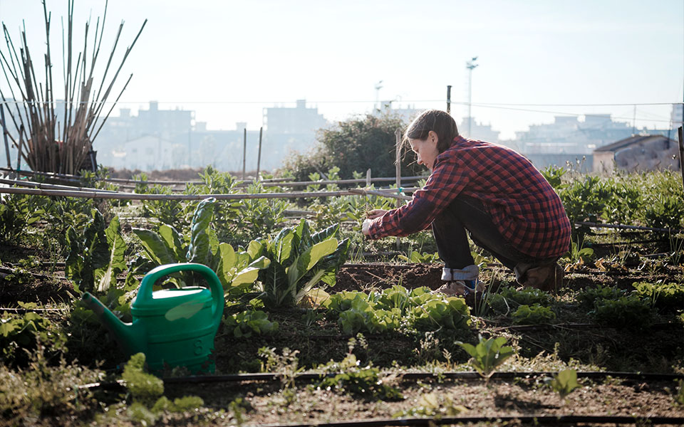Ung kvinna med röd skjorta som arbetar i trädgårdslandet.