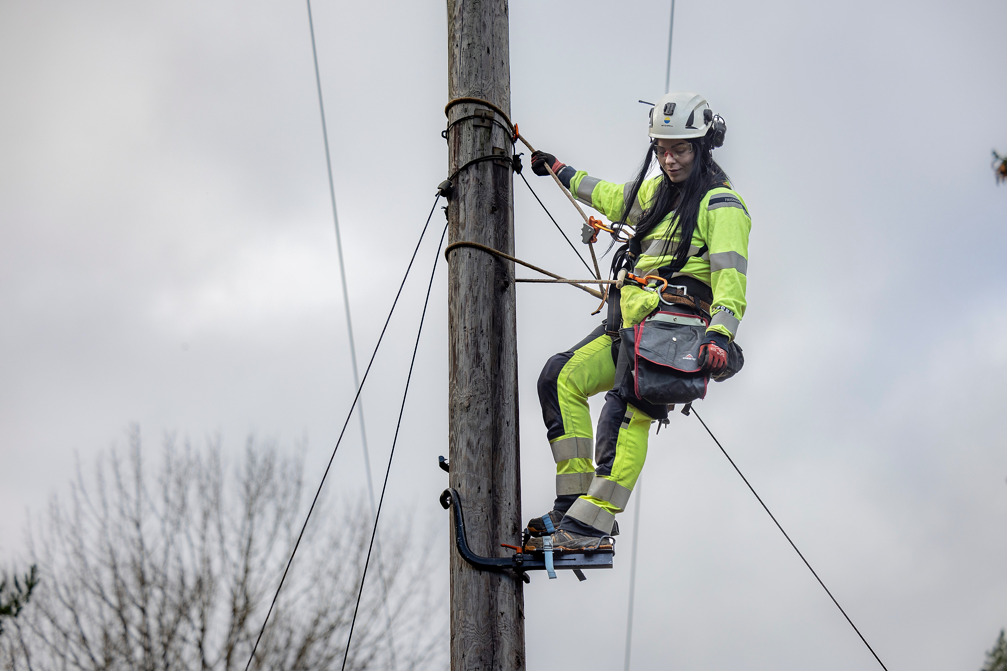 Service & Underhåll