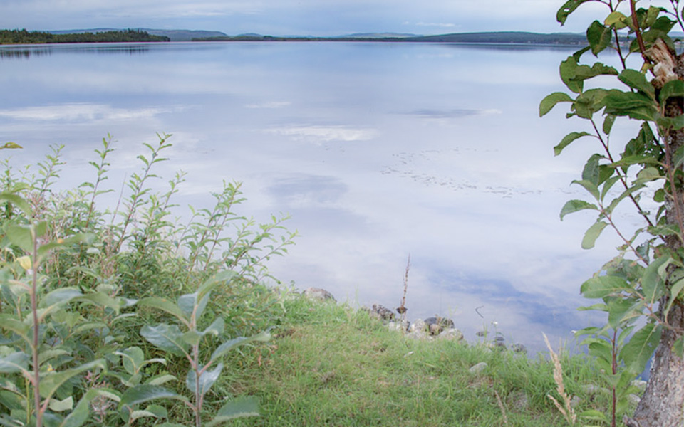 Utsikt över sjö i sommarlandskap