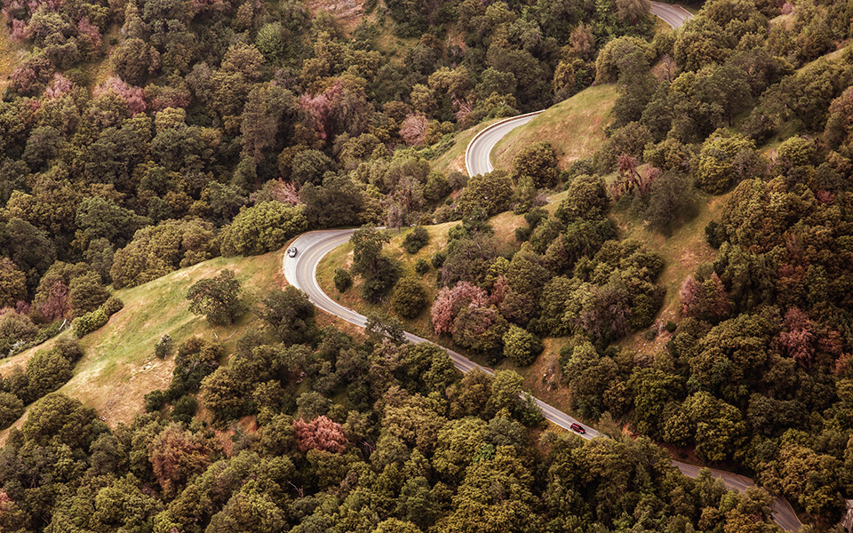 Bila som kör längs slingrig väg i skogen