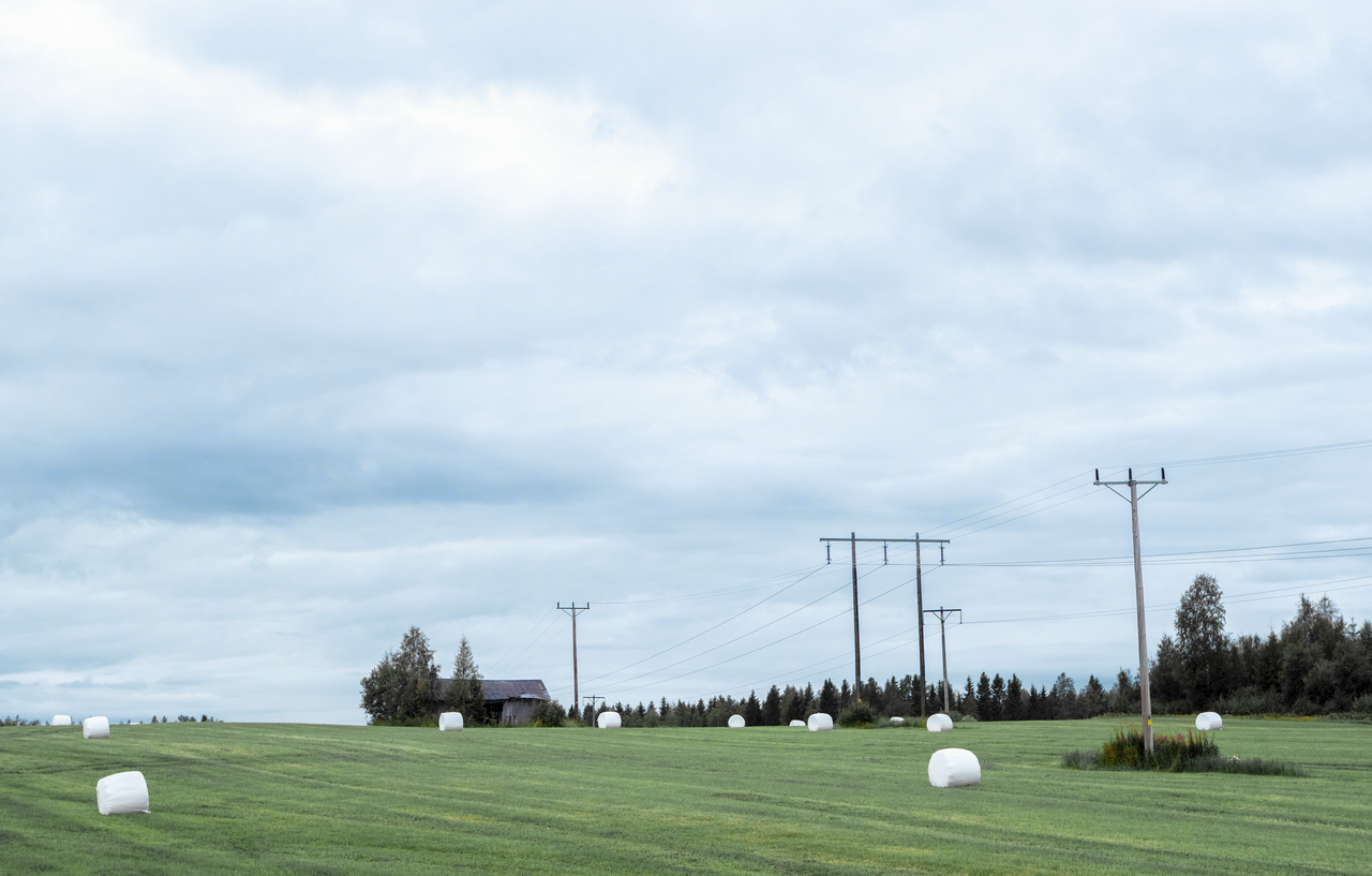 Skapar mest värde inom vår bransch