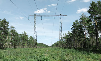 Elledningar ovanför äng och skog
