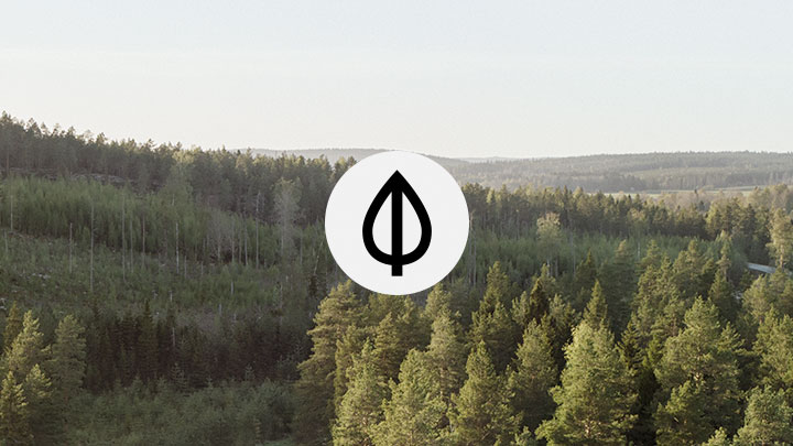 Skogslandskap i skymning