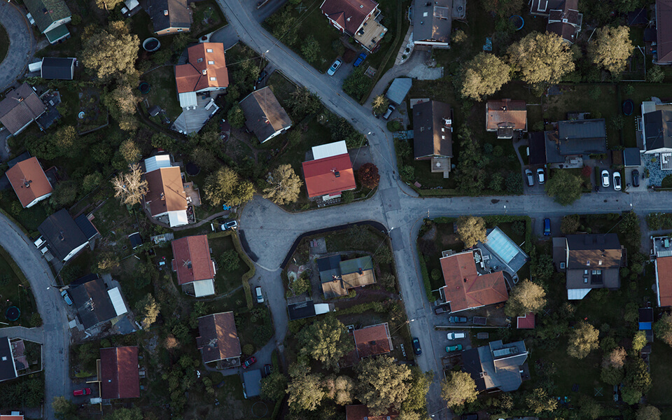 Sol som lyser genom höstlöv