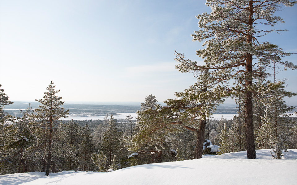 Utsikt från skidbacke i norra Sverige.