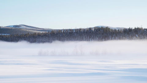Vinterlandskap