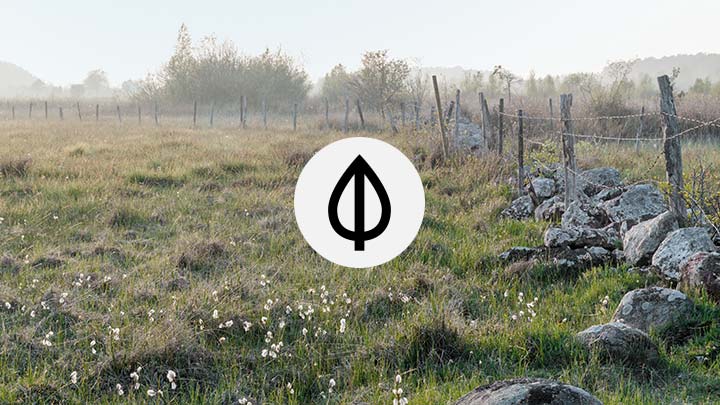 En äng med ett gammalt staket i svag dimma