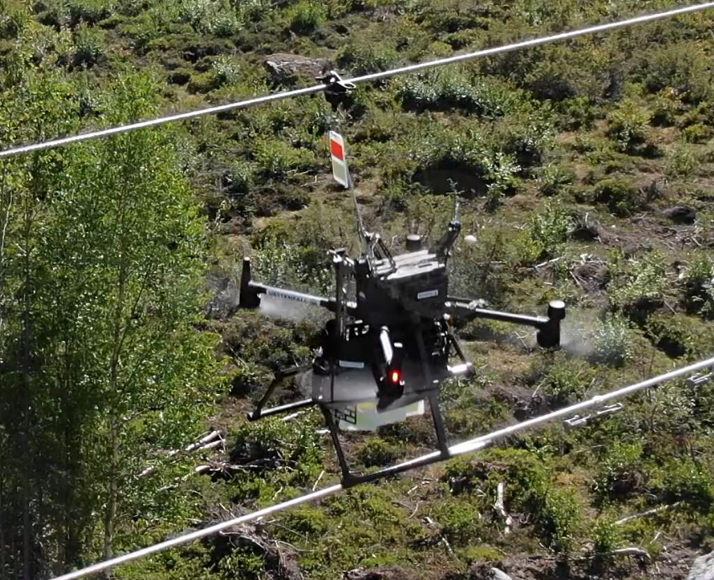 Fågelavvisare på ledningar