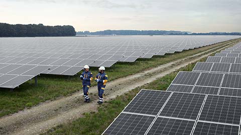 Två arbetare går i en solcellspark och pratar med varandra