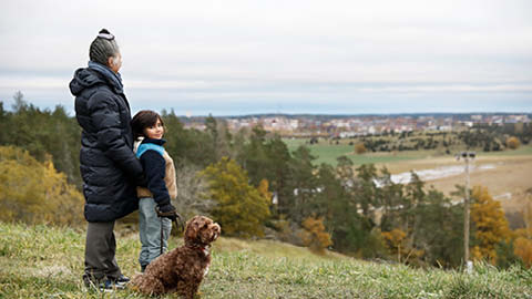 Energirådgivning