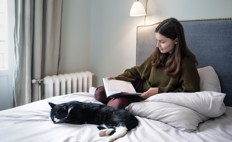 Woman reading in bed with her cat