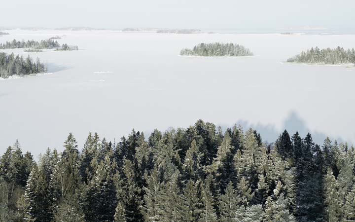 Vinterlandskap