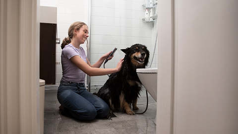 Tjej tvättar sin hund i duschen sittandes på golvet