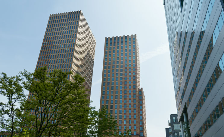 Två höghus med ett träd i förgrunden
