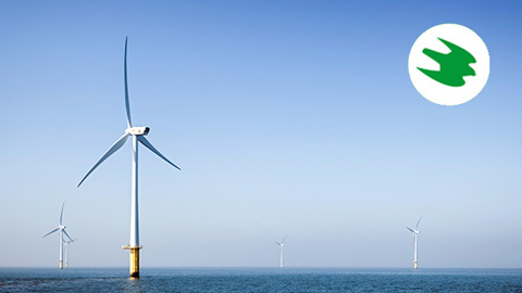 Vindskraftpark till havs