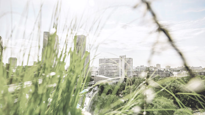 Stad med grönska i förgrunden