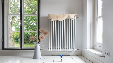 Ett element i rum där solljus flödar in