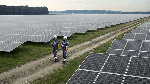 Två personer går mitt i en stor solcellspark.